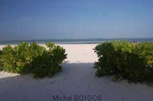 Widok na plażę na Zanzibarze